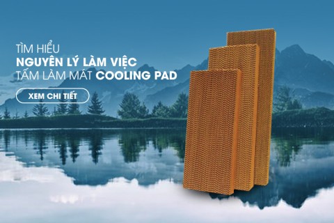 Tìm hiểu nguyên lý làm việc của tấm làm mát Cooling Pad