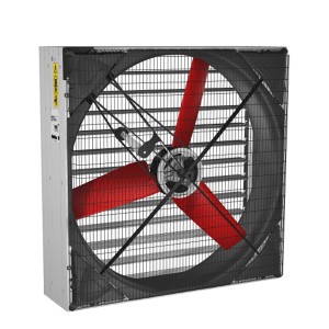 Hướng dẫn phân biệt quạt Multifan chính hãng Hướng dẫn phân biệt quạt Multifan chính hãng