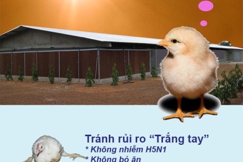 Tại sao nên làm mát trong nông nghiệp?