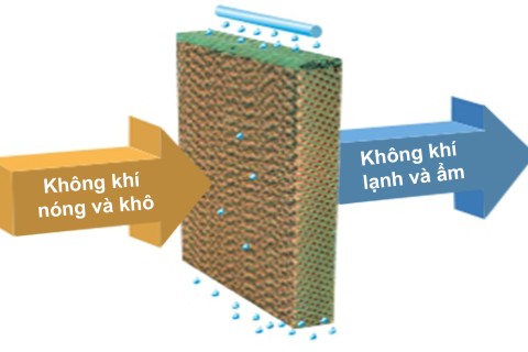 Tấm làm mát tại Hưng Yên Tấm làm mát tại Hưng Yên