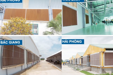Tấm làm mát tại Thái Bình Tấm làm mát tại Thái Bình