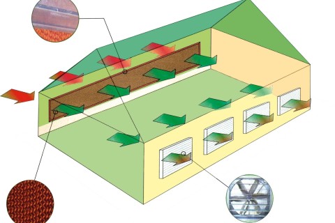 Thiết kế, thi công hệ thống thông gió, làm mát nhà xưởng công nghiệp tại Bắc Ninh Thiết kế, thi công hệ thống thông gió, làm mát nhà xưởng công nghiệp tại Bắc Ninh