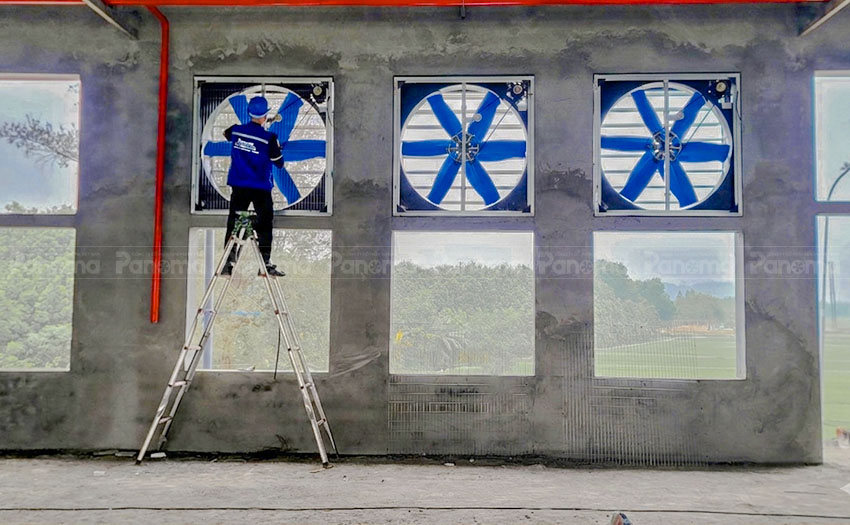 Lắp đặt quạt công nghiệp xanh siêu bền TTC cho nhà xưởng