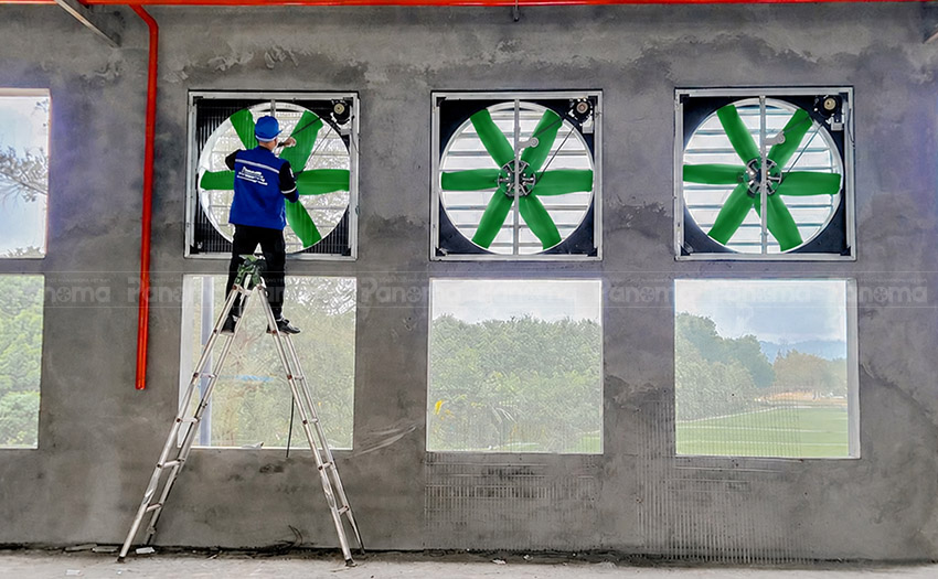 Lắp đặt quạt công nghiệp xanh siêu bền TTC cho nhà xưởng