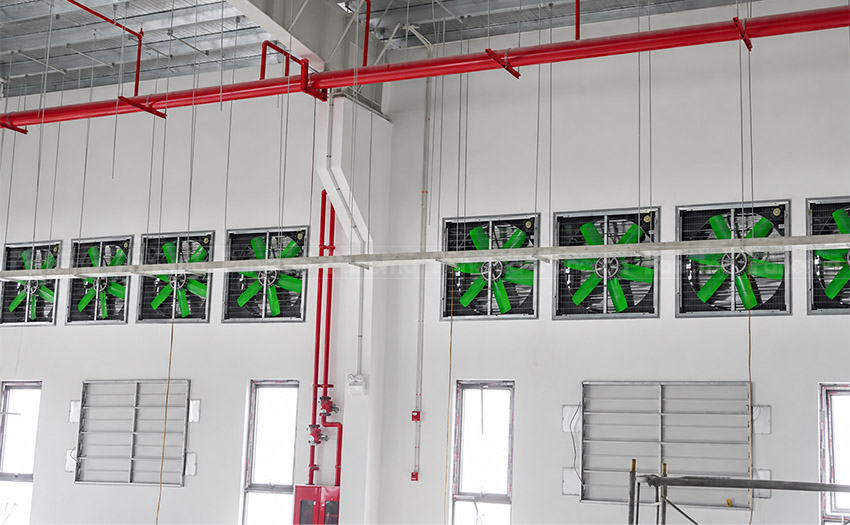 Lắp đặt quạt công nghiệp xanh siêu bền TTC cho nhà xưởng