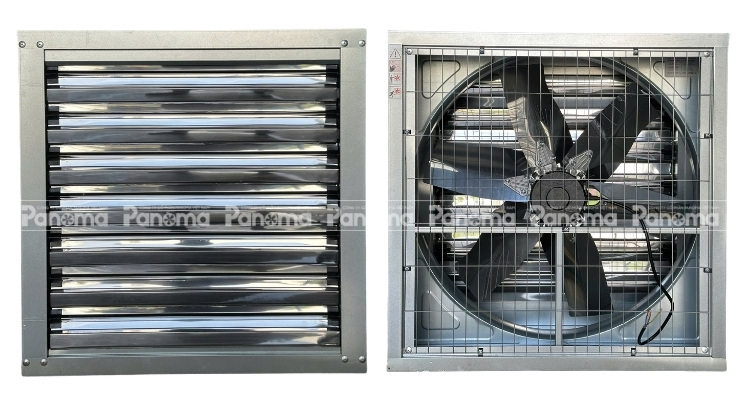 Cửa chớp và lưới bảo vệ của Quạt hút công nghiệp vuông TTC-800
