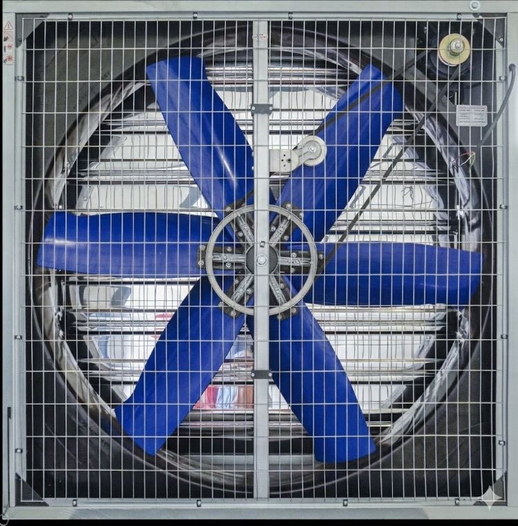 Quạt Công nghiệp Xanh - Siêu bền TTC