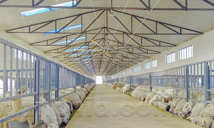 Ứng dụng của quạt trần công nghiệp HVLS