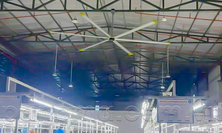 Ứng dụng của quạt trần công nghiệp HVLS